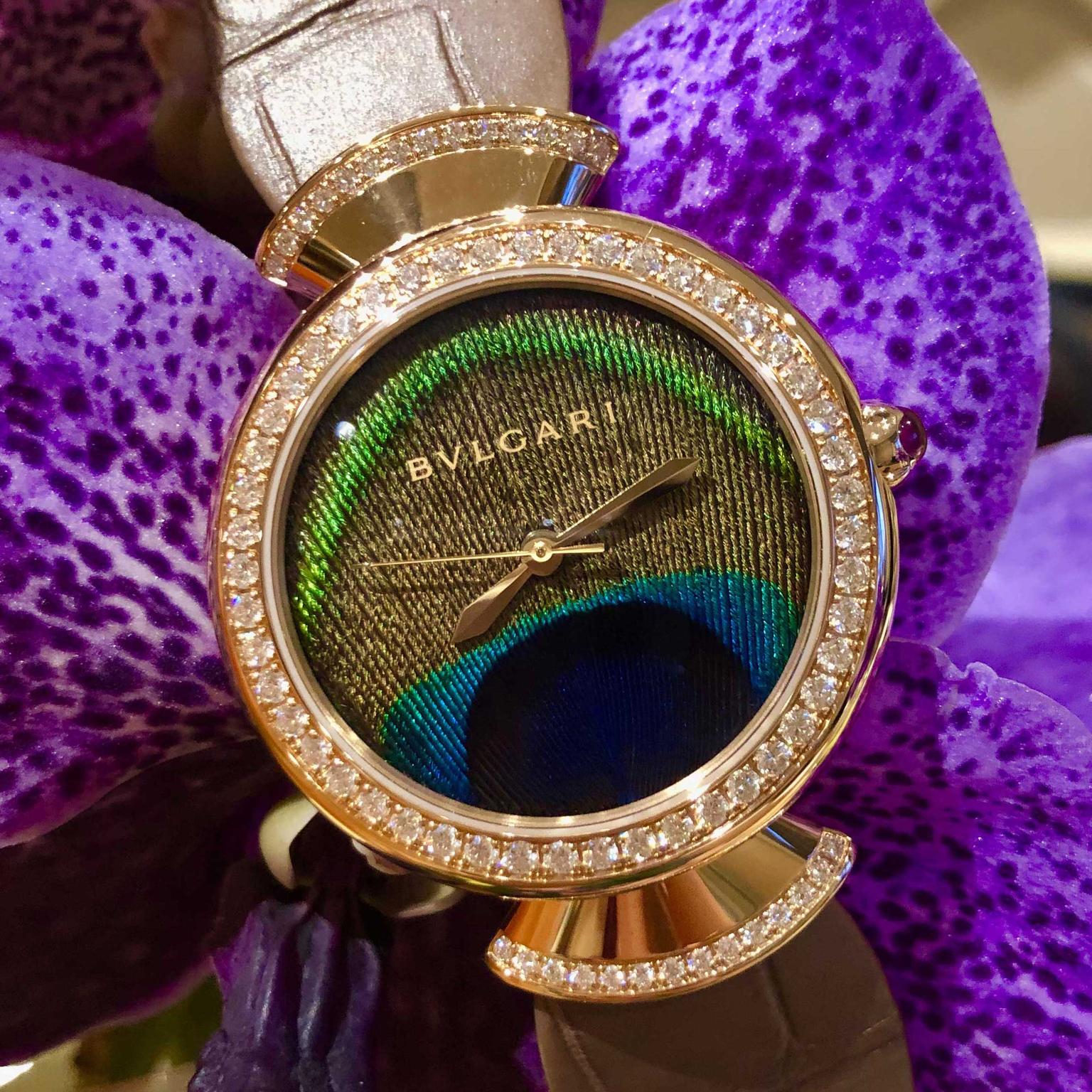 bulgari peacock watch price