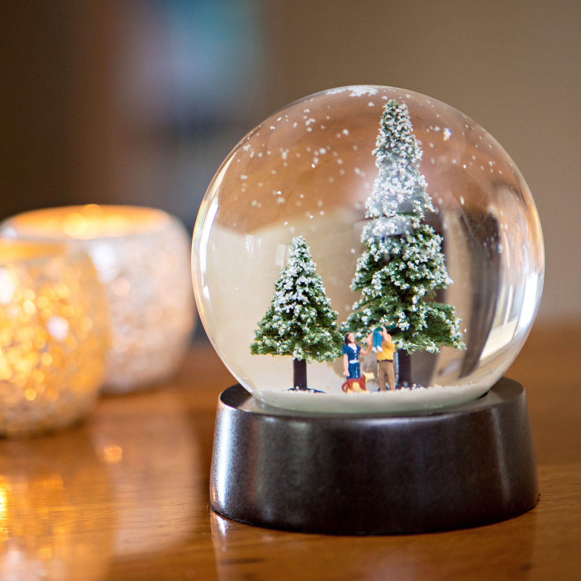 Snow globe steam фото 88