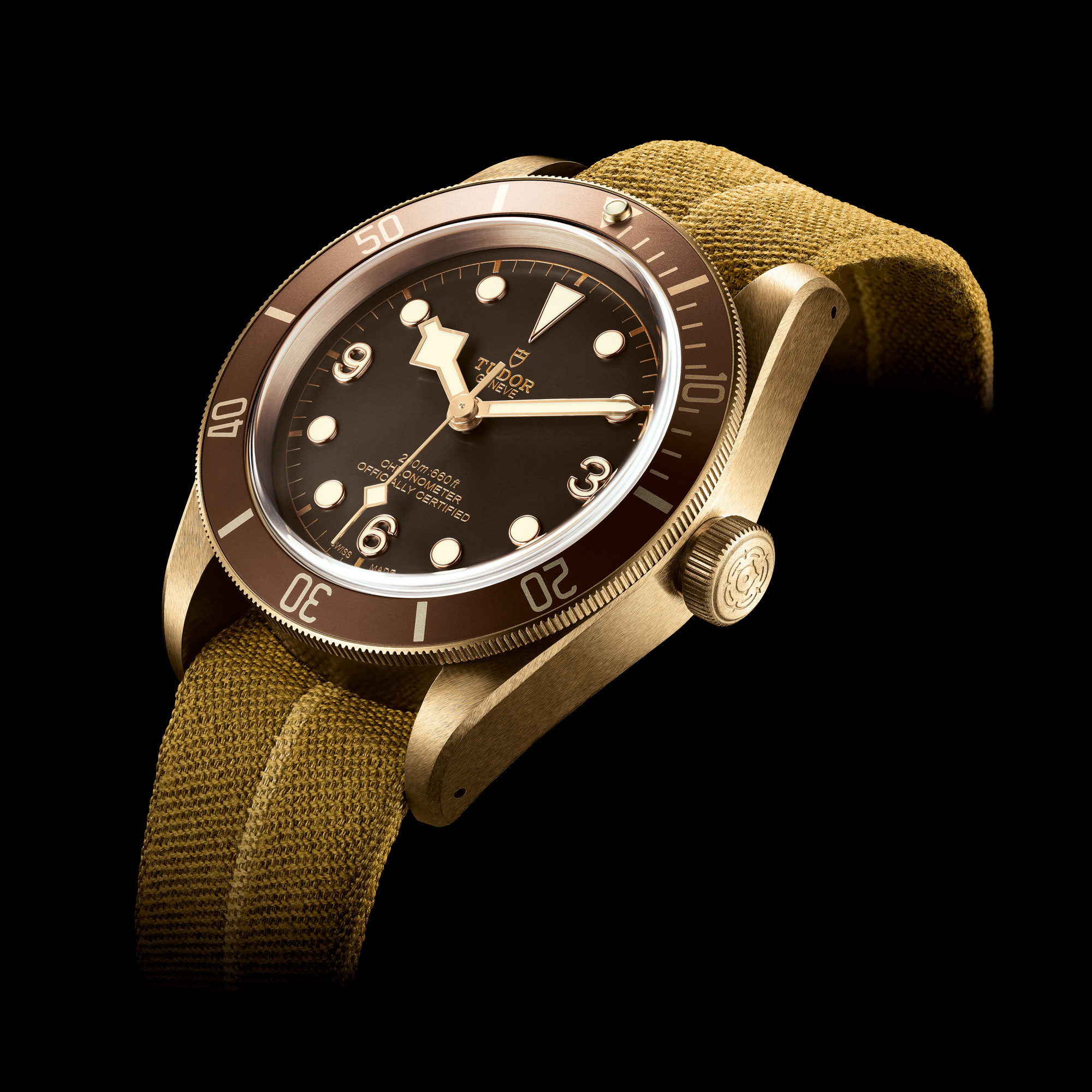 Black bay. Tudor Black Bay Bronze. Tudor часы. Tudor Explorer. Часы Тюдор.