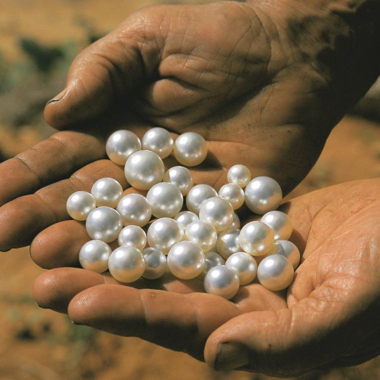 Native Pearls  TESOROS